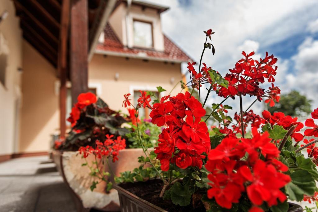 Vera Hotel Sulechów Kültér fotó